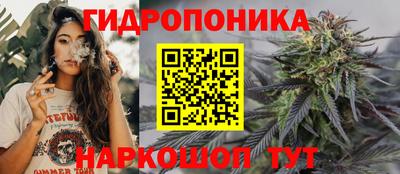 винт Донецк
